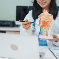 Doctor as Influencer: How Healthcare Professionals Can Build Authority Through Video Content